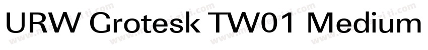 URW Grotesk TW01 Medium XWide字体转换